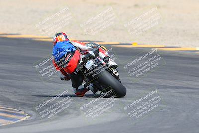 media/Mar-10-2024-SoCal Trackdays (Sun) [[6228d7c590]]/9-Turn 8 Backside (1150am)/